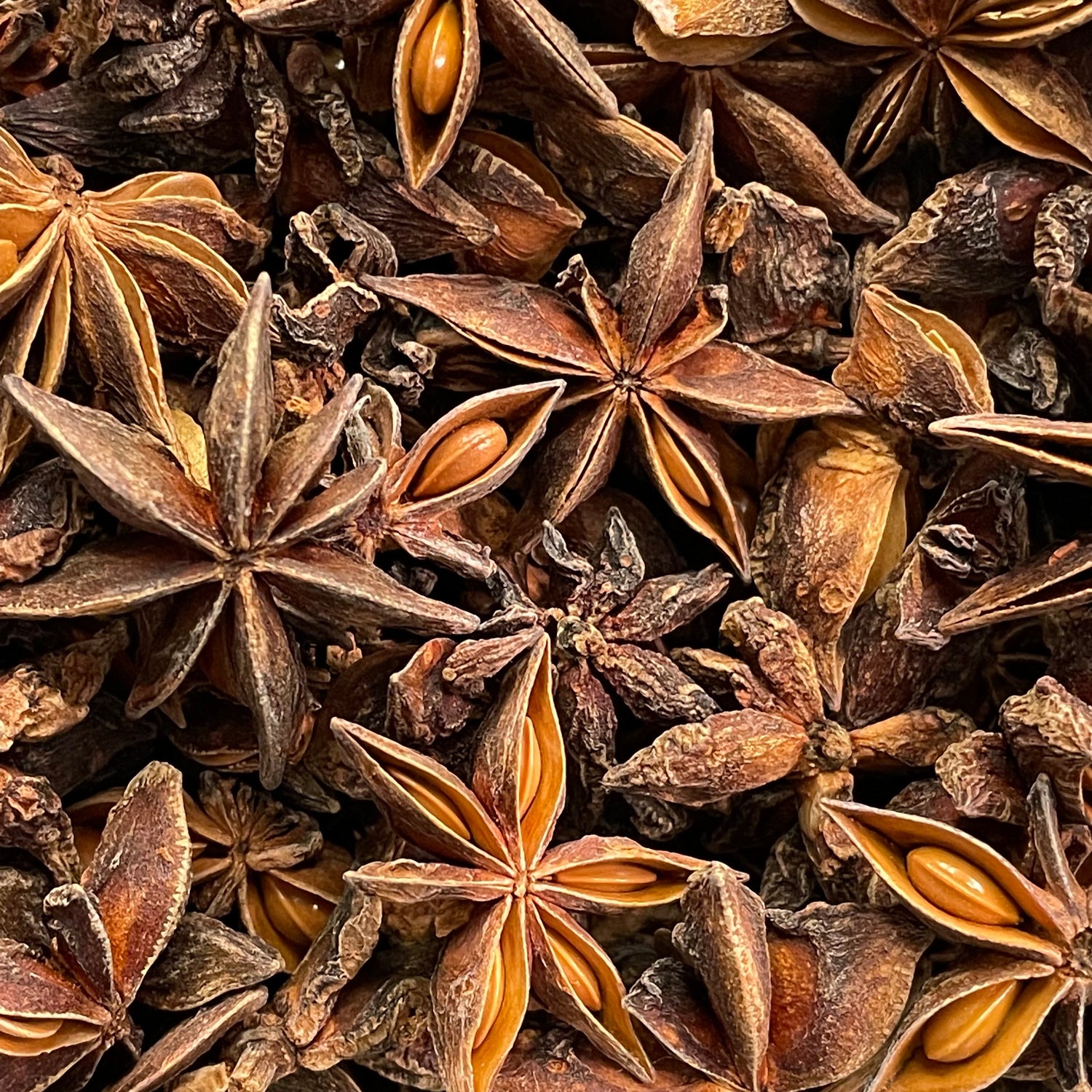Hygieia’s Herbs